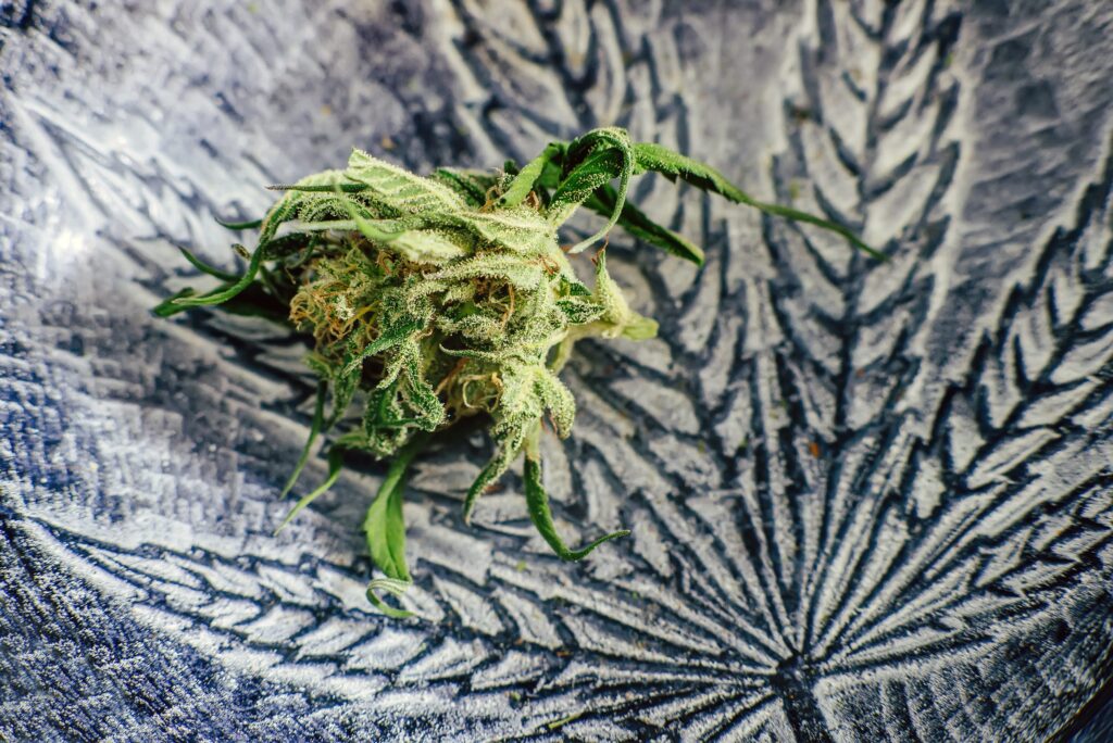 Best cannabis flower Brighton Beach from Quality Control Dispensary